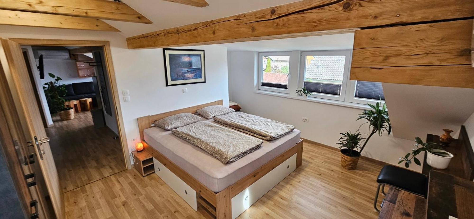 Apartma Ajja Šenčur Zewnętrze zdjęcie